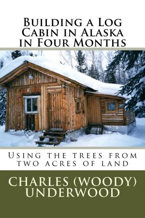 Book cover of Building A Log Cabin In Alaska In Four Months