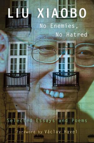 Cover of the book No Enemies, No Hatred by Johannes Fried
