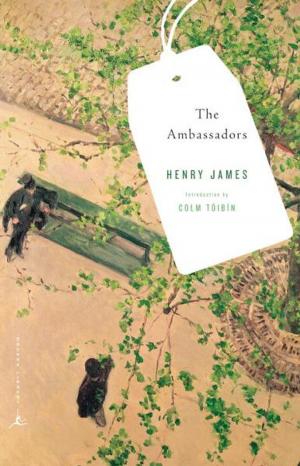 Cover of the book The Ambassadors by Diana Quincy