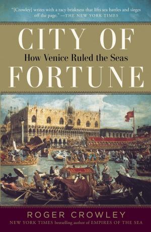 bigCover of the book City of Fortune by 