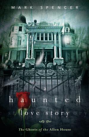 bigCover of the book A Haunted Love Story: The Ghosts of the Allen House by 