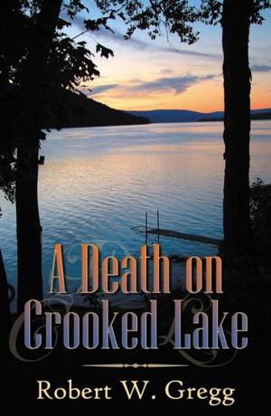Cover of the book A Death on Crooked Lane by Jill Fraeyman