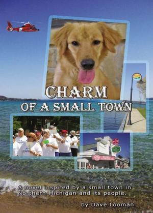 Cover of the book Charm of a Small Town by Makram Abu-Shakra