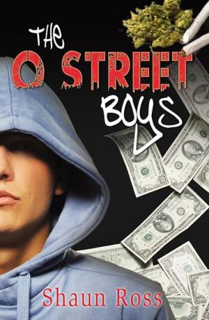 Cover of the book The O Street Boys by Davis, Rachelle