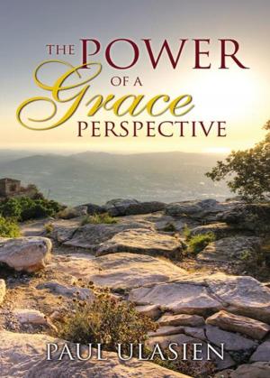 Cover of the book The Power of a Grace Perspective by Daeshin Kim