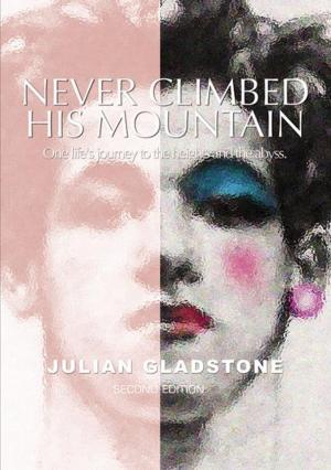 bigCover of the book Never Climbed His Mountain: 2nd Edition by 