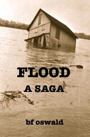 Cover of the book Flood: A Saga by Brett Wallach