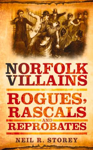 Cover of the book Norfolk Villains by Senan Moloney