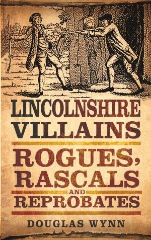 Cover of the book Lincolnshire Villains by Stephen Halliday