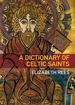 Cover of the book Dictionary of Celtic Saints by Martin Hackett