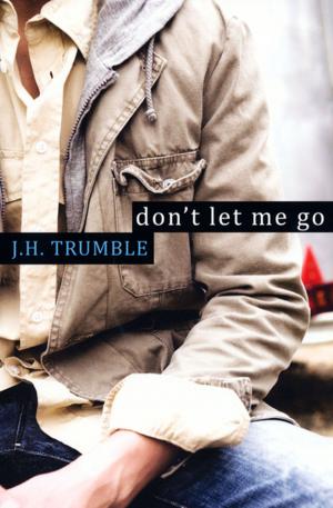 Cover of the book Don't Let Me Go by Liz Freeland