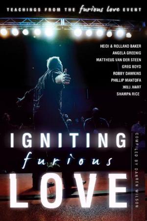 Book cover of Igniting Furious Love: Teachings From the Furious Love Event