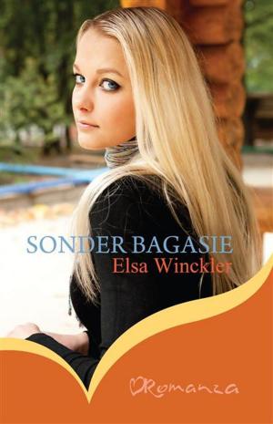 Cover of the book Sonder bagasie by Madelein Rust