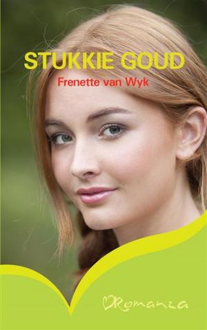 Cover of the book Stukkie goud by Rykie Roux