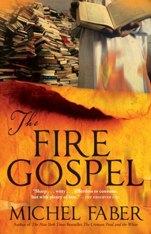 Cover of the book The Fire Gospel by James M. Weil
