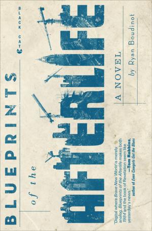 Cover of the book Blueprints of the Afterlife by Joan Halifax