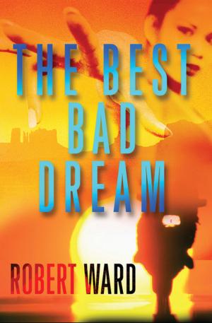 Cover of the book The Best Bad Dream by James Howard Kunstler