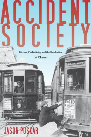 Cover of the book Accident Society by Andrew J. Policano, Gary C. Fethke