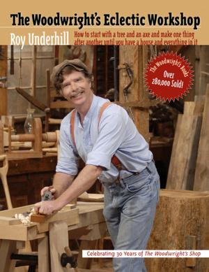 bigCover of the book The Woodwright's Eclectic Workshop by 