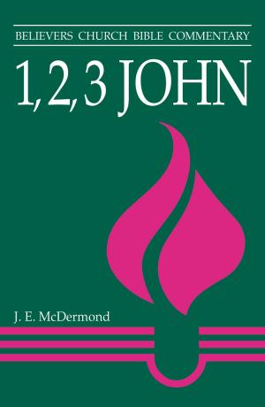Cover of the book 1 2 3 John by Elizabeth H Bauman