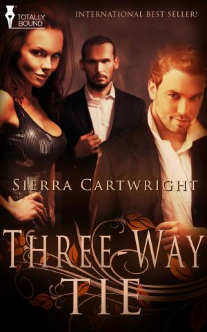Cover of the book Three-way Tie by Cyndy Aleo