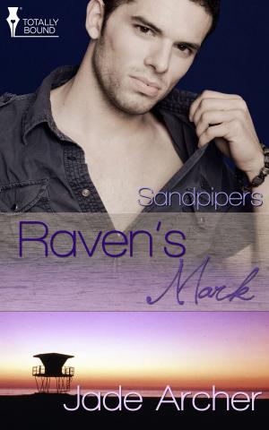 Cover of the book Raven's Mark by Angela Claire