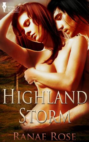Cover of the book Highland Storm by Violet Winspear