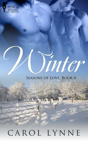 Cover of the book Winter by Bailey Bradford
