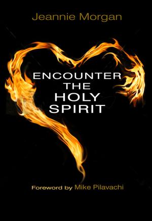 Cover of the book Encounter the Holy Spirit by Sarah Conner, Karen Williamson