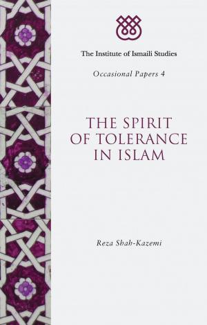 Cover of the book The Spirit of Tolerance in Islam by Professor Carolyn Cocca