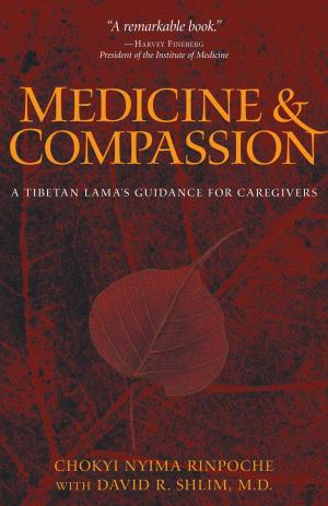 Cover of the book Medicine and Compassion by John Daishin Buksbazen