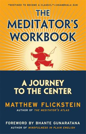 Cover of the book The Meditator's Workbook by Deborah Schoeberlein David