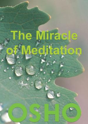 Book cover of The Miracle of Meditation
