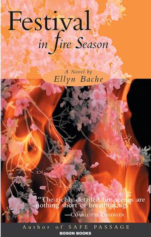 Cover of the book Festival in Fire Season by Atk.  Butterfly