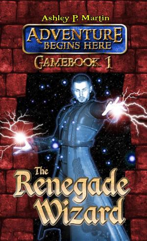 Book cover of The Renegade Wizard: Gamebook 1
