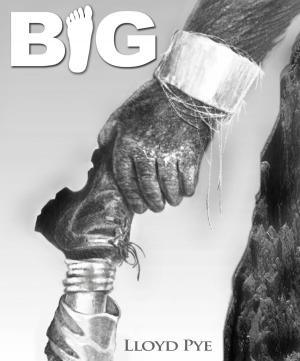 Cover of the book Big by Malcolm Whyman