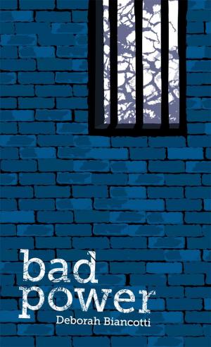 Cover of the book Bad Power by Alisa Krasnostein, Julia Rios