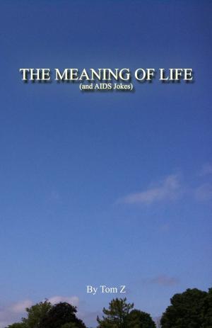 Cover of the book The Meaning of Life (and AIDS Jokes) by Richard Grossman