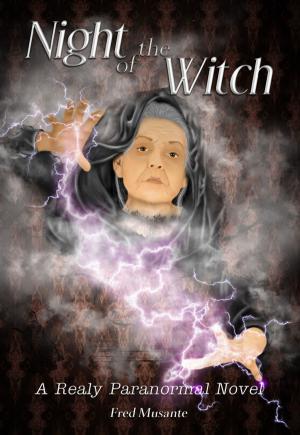 Cover of the book Night of the Witch by Sandra R Andersson