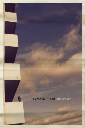 Cover of the book Addresses by Pauline Holdstock