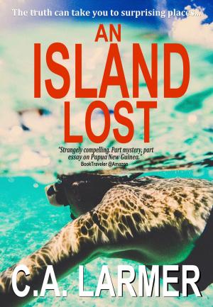 Cover of An Island Lost