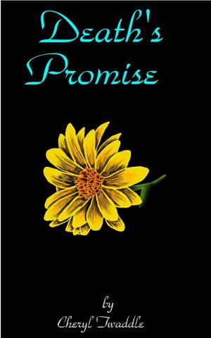 Cover of the book Death's Promise by Martin R Mortimer