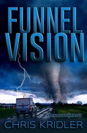 Cover of the book Funnel Vision by Colleen Shannon