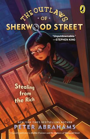 Cover of the book The Outlaws of Sherwood Street: Stealing from the Rich by J.V. Kade