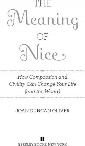 bigCover of the book The Meaning of Nice by 