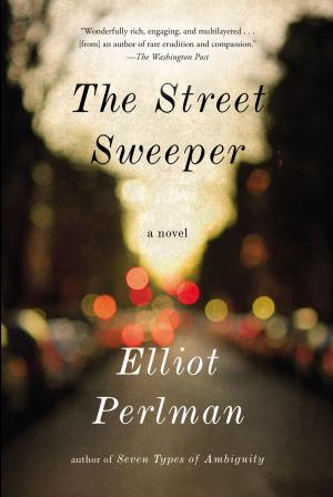Cover of the book The Street Sweeper by Beverly Allen