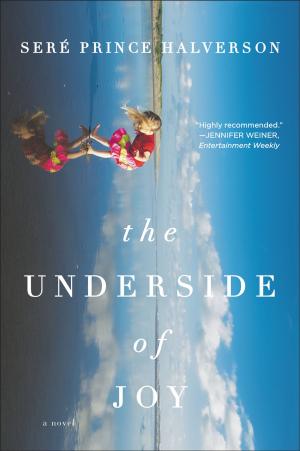 Book cover of The Underside of Joy