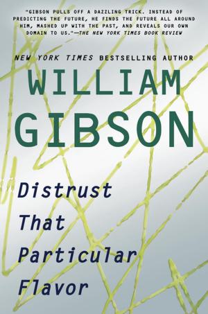 Cover of the book Distrust That Particular Flavor by Seth Godin
