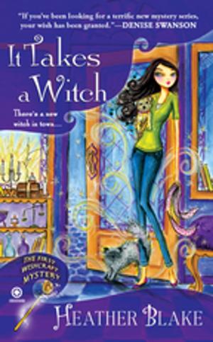 Cover of the book It Takes a Witch by Sharon Shinn