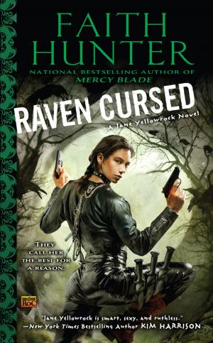 Cover of the book Raven Cursed by Matt Higgins